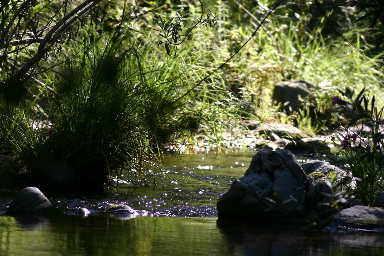 Camping La Brena Hotel Almodóvar del Río Eksteriør billede